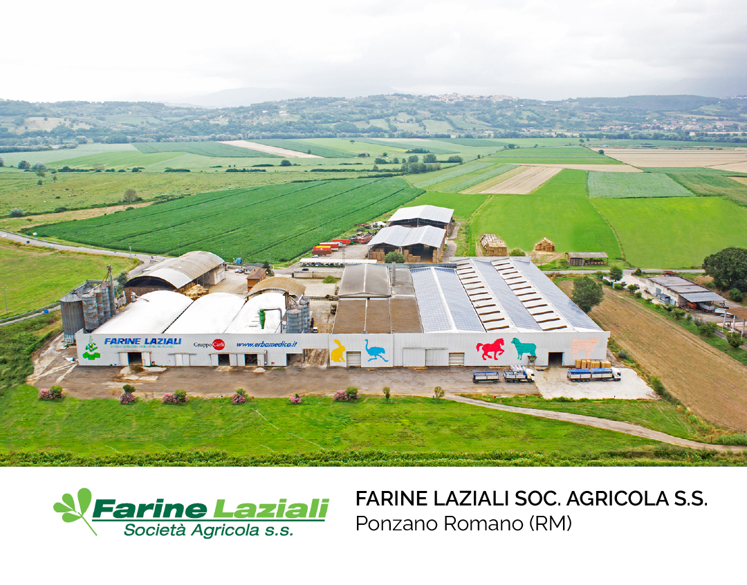 FARINE LAZIALI1