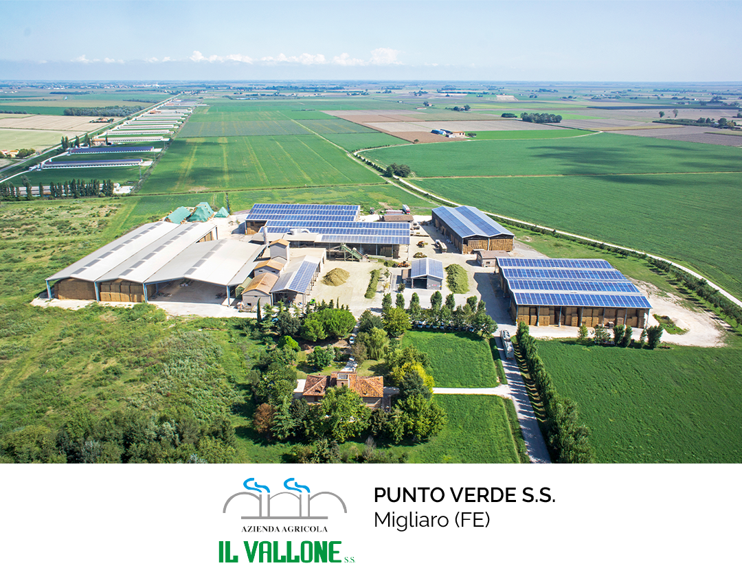 VALLONE1