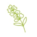 erba medica icona1
